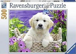 Ravensburger Golden Retriever 500 Parça Puzzle 148295