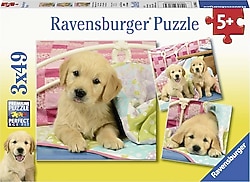 Ravensburger Puppies 3x49 Parça Puzzle 080656