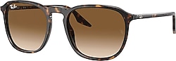 Ray-Ban 2203 Güneş Gözlüğü