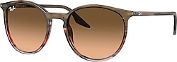 Ray-Ban 2204 Güneş Gözlüğü