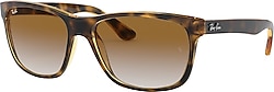 Ray-Ban 4181 Güneş Gözlüğü