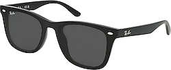 Ray-Ban 4420 Güneş Gözlüğü