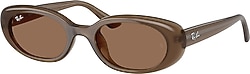 Ray-Ban 4441D 677973 Brown-Dark Brown Güneş Gözlüğü