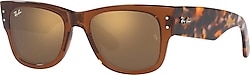 Ray-Ban Mega Wayfarer 0840S Güneş Gözlüğü