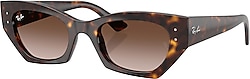 Ray-Ban Zena 4430 Güneş Gözlüğü