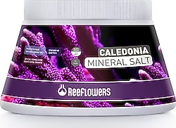 ReeFlowers Caledonia Mineral Salt 5500 ml Akvaryum Tuzu