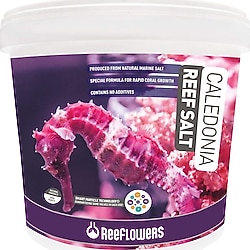 ReeFlowers 6.5 kg Caledonia Reef Salt