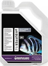 ReeFlowers Ph Buffer 3 lt Ph Yükseltici