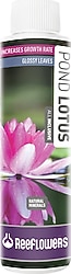 ReeFlowers 3000 ml Pond Lotus All Inclusive