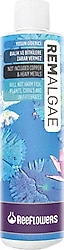 ReeFlowers RemAlgae 250 ml Yosun Giderici