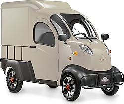 Regal Raptor K5 Van 3000 W Elektrikli Araba