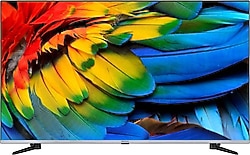 Regal 50R66QA11 4K Ultra HD 50" 127 Ekran Uydu Alıcılı Android Smart QLED TV
