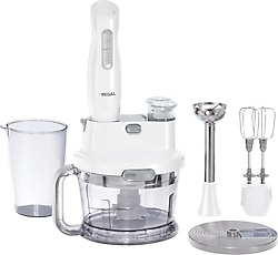 Regal Multiblender RMBS 1000 G 1000 W Blender Seti