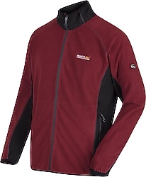 Regatta Ashton Erkek Polar Bordo