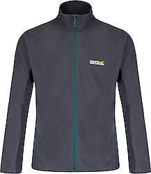 Regatta Ashton Erkek Polar Gri