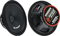 Reiss Audio RS-M10DM 500 W 25 cm Midrange Oto Hoparlör