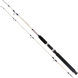 Remixon Hurricane 180 cm 20-40 lbs 2 Parçalı Olta Kamışı