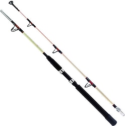 Remixon Hurricane 180 cm 30-80 lbs 2 Parçalı Trolling Kamış
