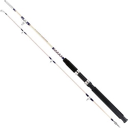 Remixon Hurricane 150 cm 20-40 lbs 2 Parçalı Olta Kamışı