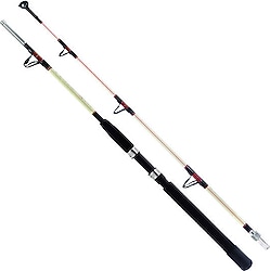 Remixon Hurricane 165 cm 30-80 lbs 2 Parçalı Trolling Kamış