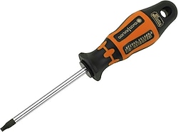 Retta RXT0020 T20x100 mm Torx Tornavida