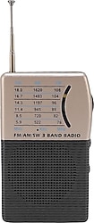 Rose SP-606 Taşınabilir Cep Radyosu