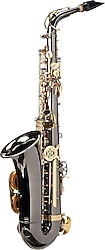 Roy Benson AS-202K Alto Saksafon