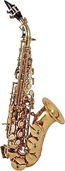 Roy Benson SG-302 Kıvrık Soprano Saksafon