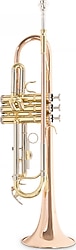 Roy Benson TR-202G Bb Trompet