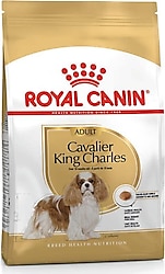 Royal Canin Cavalier King Charles 3 kg Yetişkin Köpek Maması