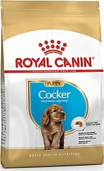 Royal Canin Cocker Junior 3 kg Yavru Köpek Maması