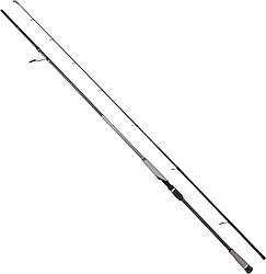 Ryuji Matrix 280 cm 25-80 gr 2 Parçalı Jig Kamış