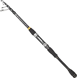Ryuji Rock Fish 240 cm 10-40 gr Teleskopik Spin Kamış
