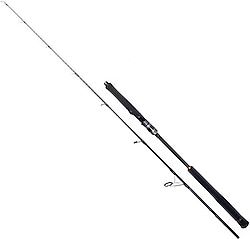 Ryuji Seawolf 168 cm 150-250 gr 2 Parçalı Jig Kamış