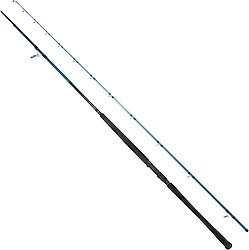 Ryuji Shore Game Fuji 285 cm 25-85 gr 2 Parçalı Jig Kamış