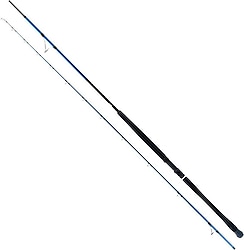 Ryuji Shore Game Fuji 295 cm 30-100 gr 2 Parçalı Jig Kamış