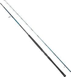 Ryuji Shore Game Fuji 310 cm 60-150 gr 2 Parçalı Jig Kamış