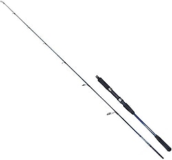 Ryuji Strobe II 198 cm 40-110 gr 2 Parçalı Jig Kamış