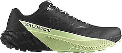 Salomon Pulsar Erkek Koşu Ayakkabısı