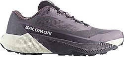 Salomon Pulsar Kadın Koşu Ayakkabısı