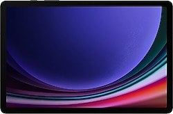 Samsung Galaxy Tab S9 Wi-Fi SM-X710 Gri 256 GB 11" Tablet
