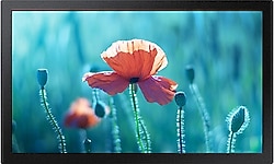 Samsung QB13R-M 13" 30 ms Full HD 75 Hz Taşınabilir Monitör
