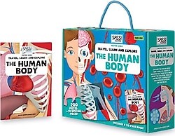 Sassi Travel Learn and Explore The Human Body