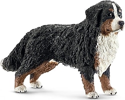 Schleich Dişi Bernese 16397