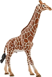 Schleich Erkek Zürafa 14749