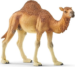 Schleich Hörgüçlü Deve 14832