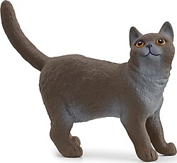 Schleich İngiliz Kısa Tüylü Kedi 13973