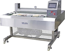 Seles DZ 1000 QF Vakum Makinesi