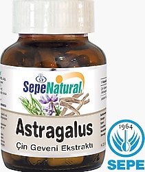 Sepe Natural Astragalus Root Extract 90 Kapsül Çin Geveni Ekstresi