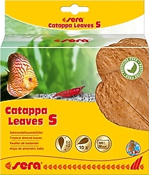 Sera Catappa Yaprağı S 14 cm 10'lu